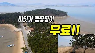 양쪽이 바다! 소나무 숲 무료 캠핑장 공개 썸네일