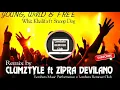 Lagu Young wild and free Remix Terenak 2018 By DJ Clumstyle Ft Zipra Devillano