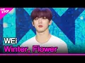 Download Lagu WEi, Winter, Flower (위아이, 겨울, 꽃) [THE SHOW 210309]