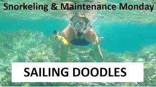 Snorkeling the Indians at BVI & a Shower Pump Problem – Boat Maintenance Monday