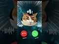 Download Lagu EP.10 Ringtone ☎️iphone pro 12📱 iphone Ringtone Phone #youtubeshorts  #apple #ringtone #foryou
