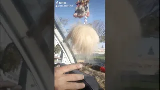 حالات وتس حماس ابو عبدو الحمصي 