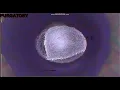 Ill Considered - Dawn Lit Metropolis thru a audio visualizer