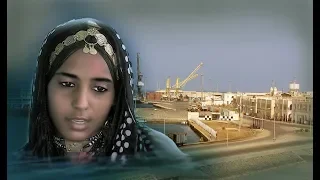 Eritrea Wo Rozina Tigrait Music By Ahmed Idris Afa 