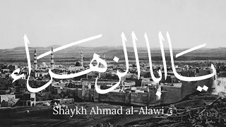                               ي ا أ ب ا الز  ه ر اء                         ق                    دندنها