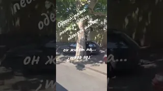 Покатушки по Одессе Реальная Одесса Песни за Одессу Одесский шансон Одесса мама Где едем  Покатушки по Одессе Реальная Одесса Песни за Одессу Одесский шансон Одесса мама Где едем