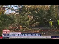 Power outages trees blocking roads after Western Washington storm FOX 13 Seattle