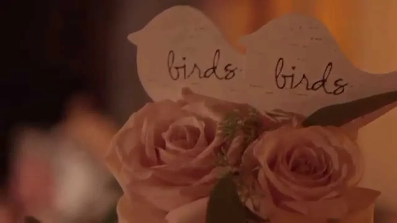 Marry Me In Miami Wedding Contest Winners