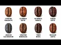 All Coffee Beans Explained Their Origins