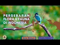 Download Lagu PERSEBARAN FLORA DAN FAUNA DI INDONESIA
