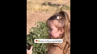 شیرین زبون ترین دختر دنیا تا آخرش ببینید 