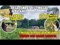 Download Lagu SUASANA PEDESAAN DI BELANDA TEMPAT AKU TINGGAL | BANYAK SAPI KAMBING DAN DOMBA