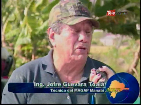 Ecuador Agropecuario 27-10-2016