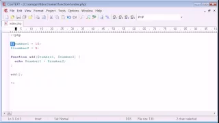 Beginner PHP Tutorial 31 Functions with Arguments