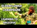 Download Lagu Vlierbloesemchampagne maken | Leren conserveren | VK