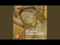 Download Lagu Te seguiré