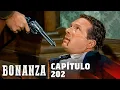 Bonanza Episode 202 - The Trackers Full Episode in Spanish