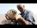 Download Lagu Der südostasiatische Süßwasserkugelfisch: Ein überraschender Täter | S7 E01 | Fluss Monster