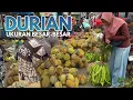Lagu Melimpah stok Durian Pasar Doro || Minggu, 14 Desember 2025