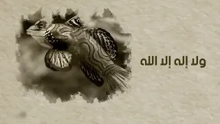 سبحان الله الحمد لله مشاري راشد العفاسي 