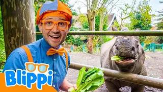 Blippi Learns About Wild Animals at the Zoo! 🦁🦒 | Learning Videos for Kids 🔵🟠