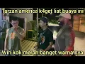 SAMPAI JAKARTA TARZAN AMERICA TERK3JUT MELIHAT BUAYA INI,WIH KOK WARNA NYA MERAH