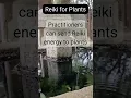 Download Lagu Daily Reiki Inspiration | Learn Reiki | Usui Reiki Ryoho
