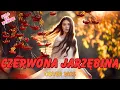 Lagu CZERWONA JARZĘBINA ❤️🔥 | NOWOŚĆ COVER 2025 | DISCO POLO | POLO NA WYPASIE