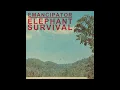 Emancipator - Elephant Survival - 2011 [HD]