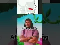 Download Lagu Mewing Transformation #mewing #meme #memes #funny #fluxxwave
