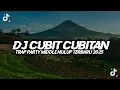 Download Lagu DJ CUBIT CUBITAN TRAP PARTY MIDDLE NULUP TERBARU 2025