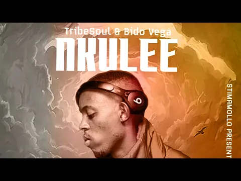 Download MP3 Nkulee - TribeSoul & Bido Vega (Visualizer)