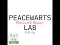 Peacewarts Lab 8-15-26 Homework Session and Gemini Messes Up