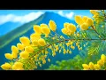 Download Lagu Soothing Music For The Nerves 🌿 Healing Music For The Heart, Blood Vessels And Relaxation
