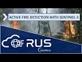RUS Webinar Active Fire Detection with Sentinel-3 - HAZA04