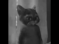Puss In Boots Kitten GIF