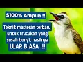 Download Lagu Masteran trucukan gacor ngalas tarung ropel paling bagus untuk pancingan trucukan agar bunyi nyaut