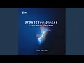 Download Lagu SPONGEBOB SIDRAP TEMBAK LANGIT PEKANBARU