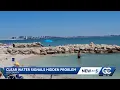 High salinity levels pose risk in Sanibel s water and beyond