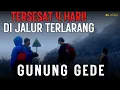 Lagu NGERI!! KISAH WAWAN TERSESAT 4 HARI DI JALUR TERLARANG GUNUNG GEDE !,,,,,, SENDIRIAN DI HUTAN ANGKER