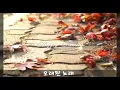 오래된 노래 가사 자막 스탠딩에그 디제이쮸 감성노래