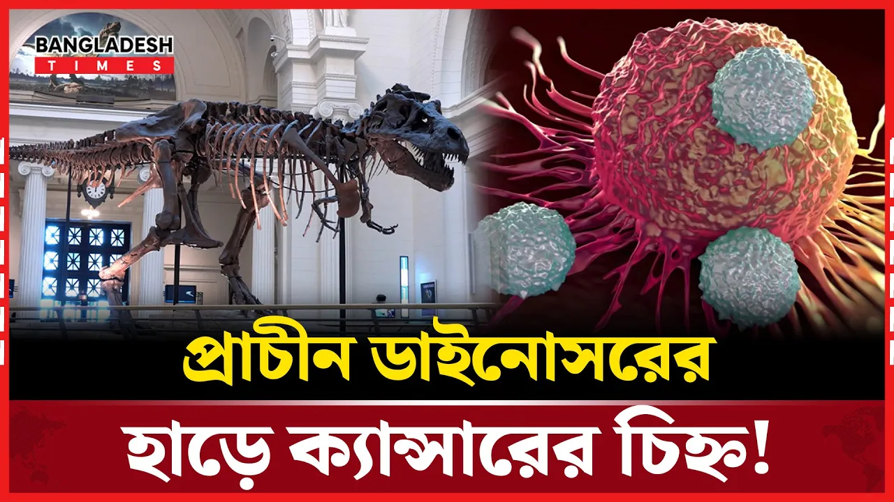 ৭ কোটি বছরের ডাইনোসরের দেহে ক্যান্সার! চিকিৎসাবিজ্ঞানে বিপ্লবের বার্তা