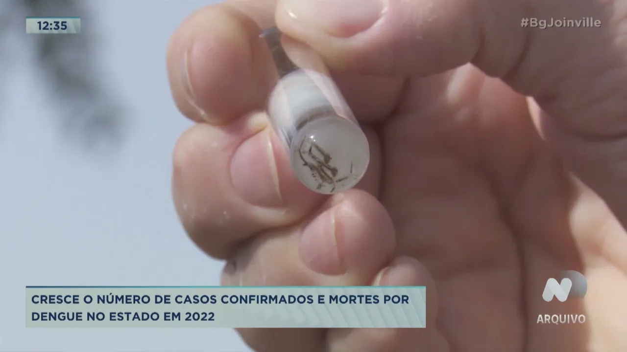 Cresce o número de casos confirmados e mortes por dengue no estado em 2022