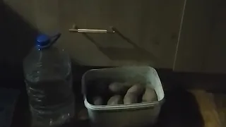                      دندنها