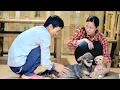 Download Lagu Loi bracht Thao nog een hond. Thao had een andere kijk op Loi.