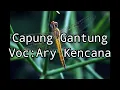 Download Lagu #lagubalilawas#lagubalikenangan#liriklagubaliVideo Lirik lagu lawas Capung Gantung Voc Ary Kencana
