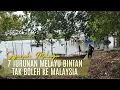 Lagu Kenapa Melayu Bintan Tak Boleh Ke Malaysia❗Kampung Melayu