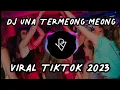 Download Lagu DJ UNA TERMEONG MEONG VIRAL TIKTOK 2023