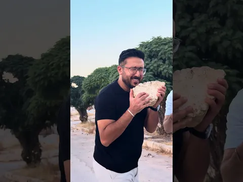 25 أغسطس، 2026