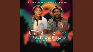 tshoba lembongolo